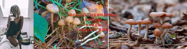 jwh Заводоуковск