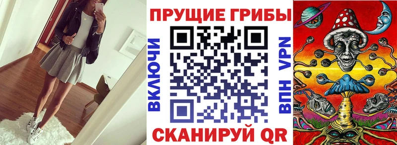 Купить закладки  Цимлянск  Псилоцибиновые грибы GOLDEN TEACHER 